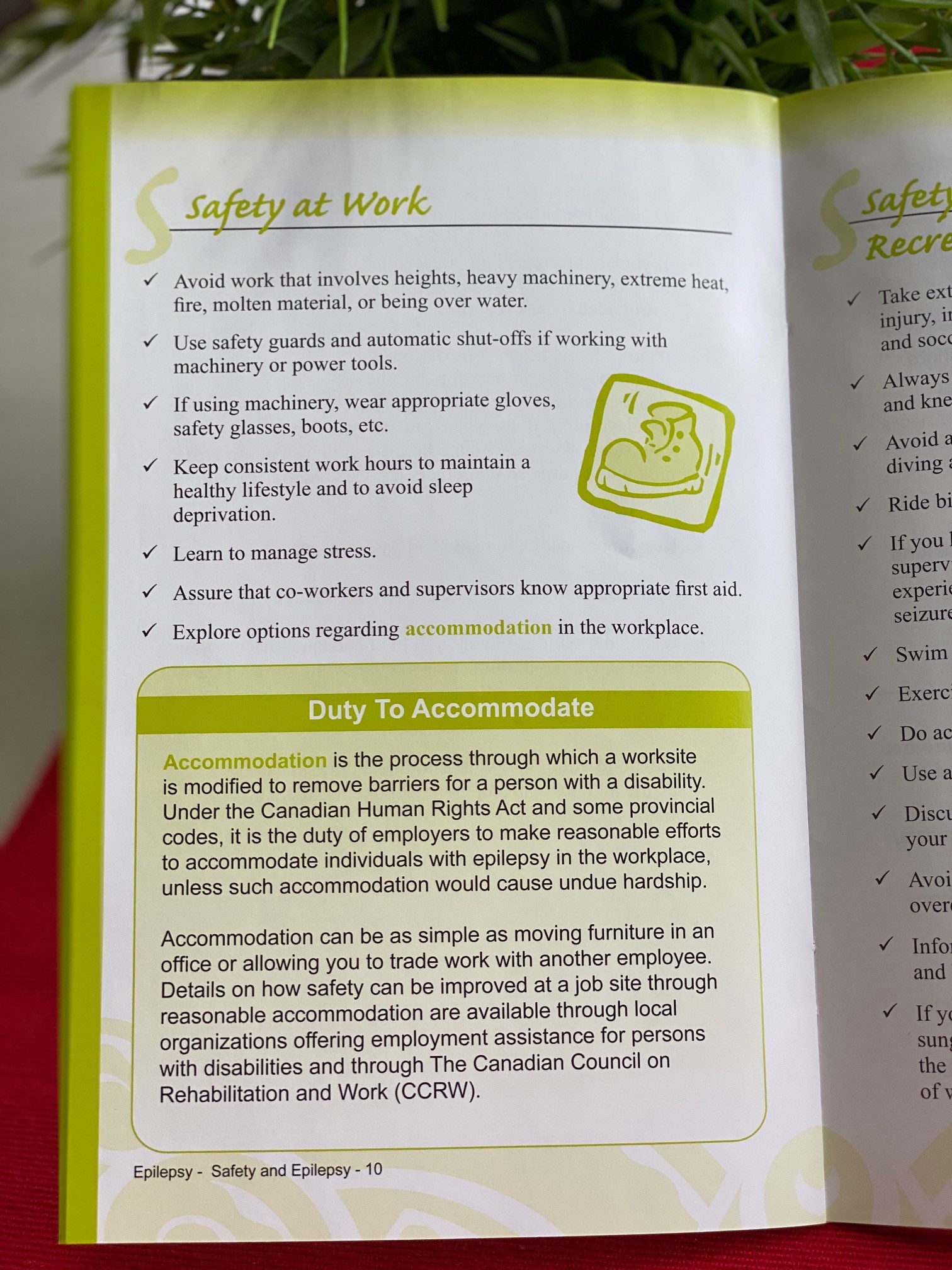 Epilepsy Safety Edmonton Epilepsy Association